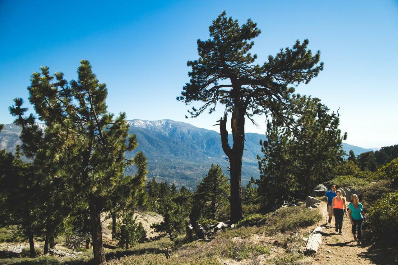 Embers Lodge & Cabins Big Bear Lake Esterno foto